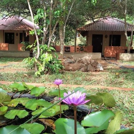 Hotel Niyagala Lodge Sigiriya Exterior photo